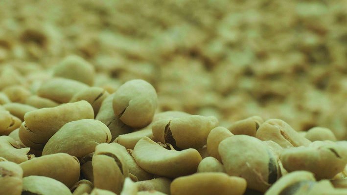 Ethiopian green coffee beans